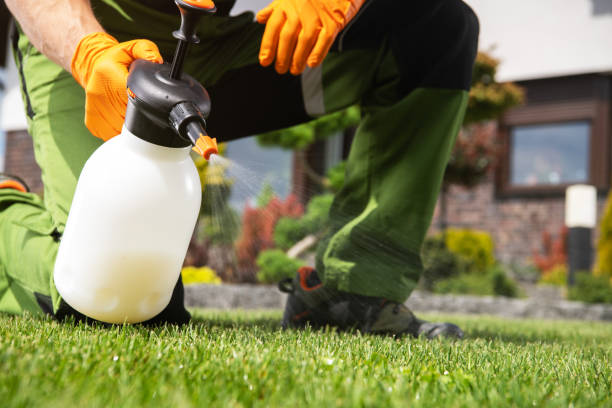 Best Wasp Removal Services  in Urbancrest, OH