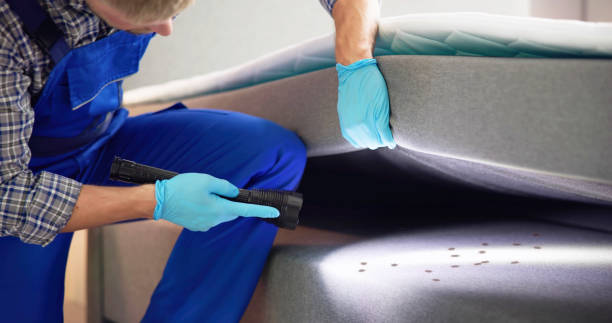 Pest Control for Restaurants in Urbancrest, OH